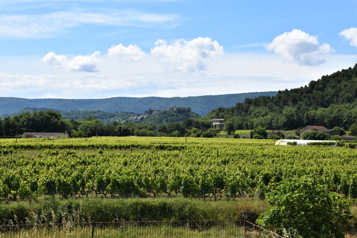 transaction de domaines viticoles